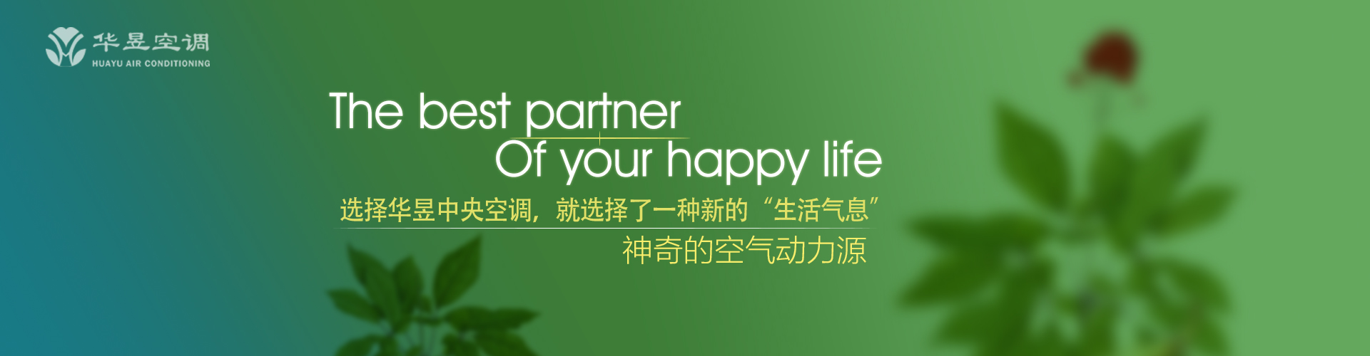 如影随形网